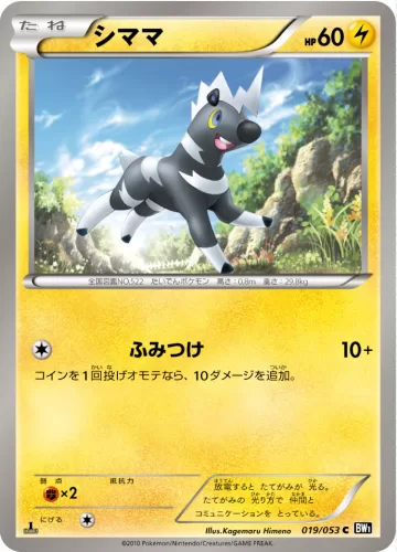 シママ C