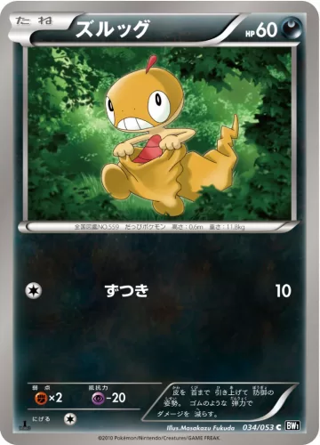 ズルッグ C