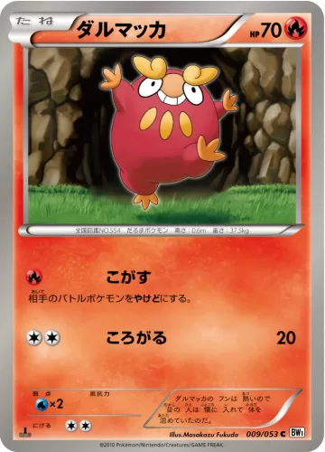 ダルマッカ C