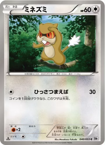 ミネズミ C