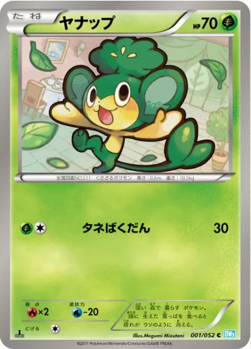 ヤナップ C