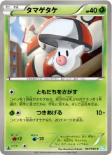 タマゲタケ C