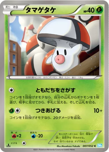 タマゲタケ C