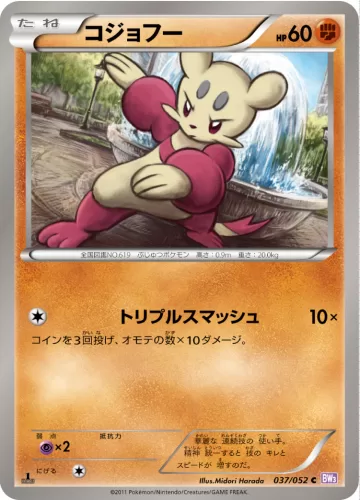 コジョフー C