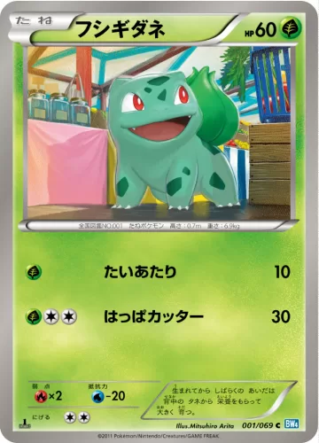 フシギダネ C