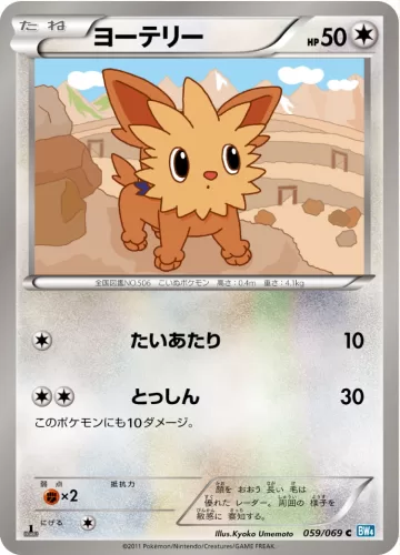 ヨーテリー C
