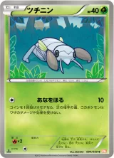 ツチニン C