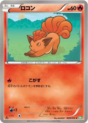 ロコン C