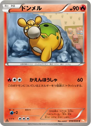 ドンメル C