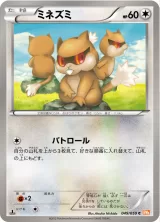 ミネズミ C