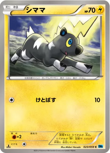シママ C
