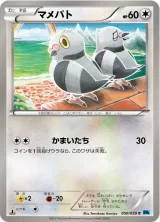 マメパト C