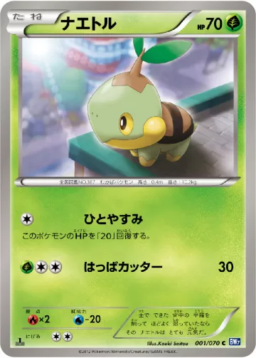 ナエトル C