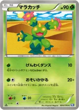 マラカッチ C