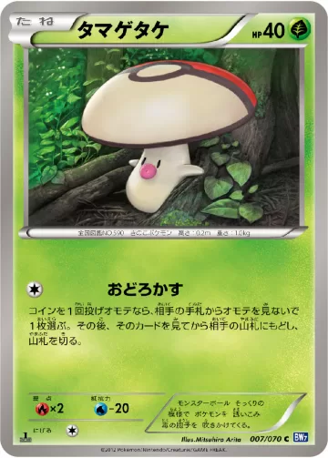 タマゲタケ C
