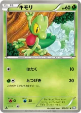 キモリ C