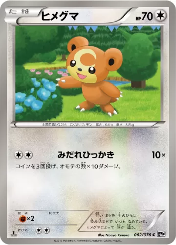 ヒメグマ C