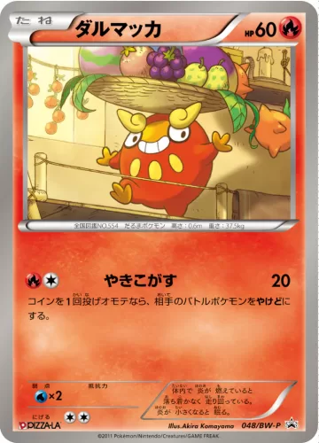 ダルマッカ PROMO