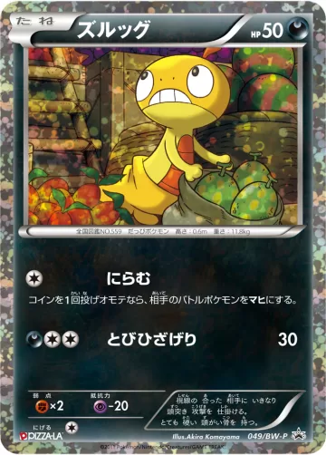 ズルッグ PROMO
