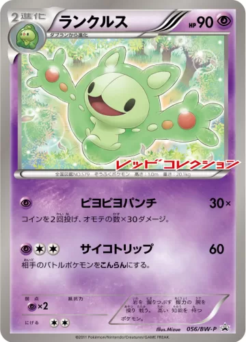 ランクルス PROMO