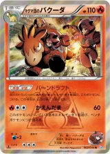 マグマ団のバクーダ R