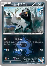 アクア団のポチエナ C
