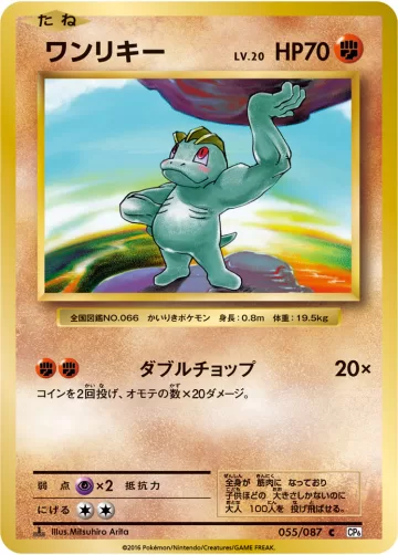 ワンリキー C