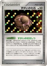 ずがいの化石 PROMO
