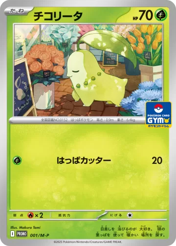 チコリータ PROMO