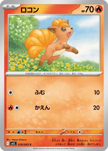 ロコン C