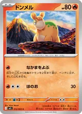 ドンメル C