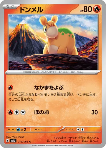 ドンメル C