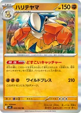 ハリテヤマ R