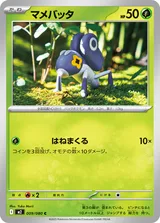 マメバッタ C