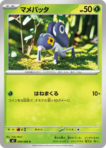 マメバッタ C