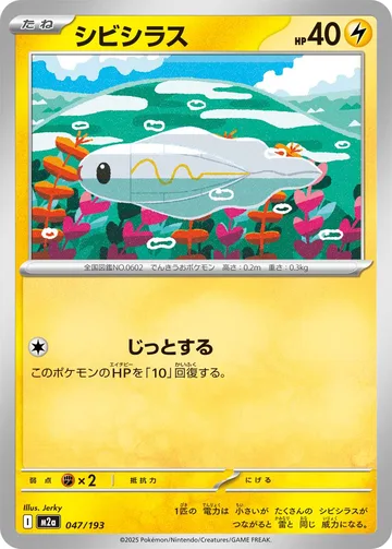 シビシラス エネルギーマーク柄ミラー