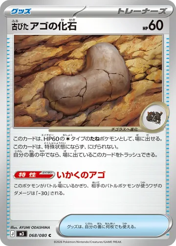 古びたアゴの化石 C