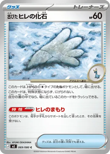 古びたヒレの化石 C