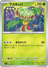 マスキッパ C