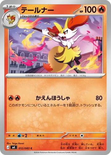 テールナー C
