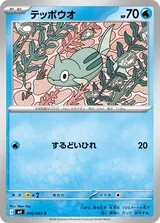 テッポウオ C