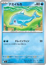 ナミイルカ C