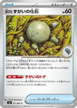 古びたずがいの化石 C