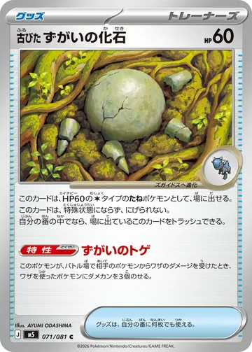 古びたずがいの化石 C