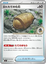 古びたたての化石 C