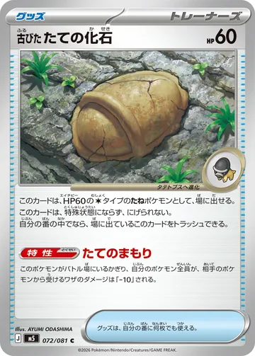 古びたたての化石 C