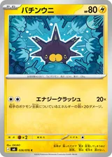バチンウニ C