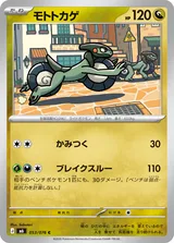 モトトカゲ C