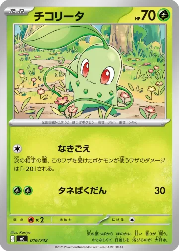 チコリータ S-TD