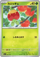 カジッチュ TD